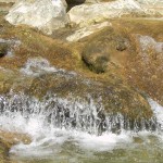 Badestellen am Fluss Sant Aniol