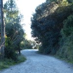 Wanderwege auf dem Gebirgszug Collserola