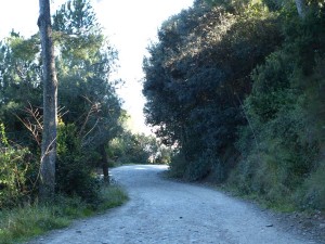 Wanderwege auf dem Gebirgszug Collserola